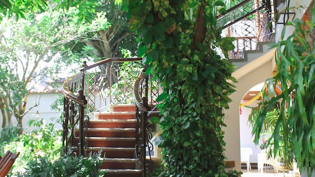Una escalera rodeada de abundante vegetación que conduce a una zona en el segundo piso con barandilla y vistas al exterior.