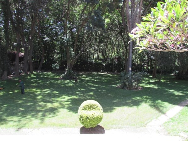 A well-maintained garden with a spherical topiary in the foreground, surrounded by tall trees and a variety of shrubs. - The Equator Hotel (Arusha)