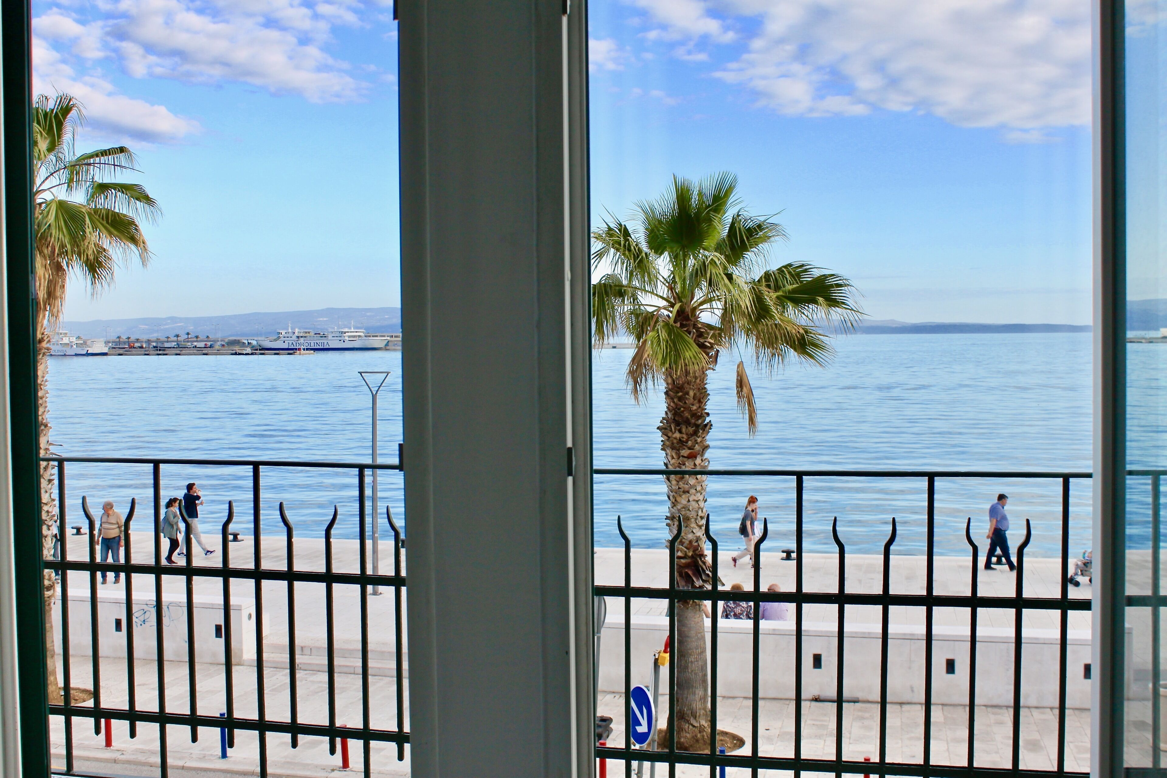 A coastal view with a palm tree, a metal railing, and a body of water.
