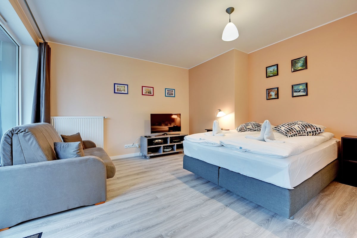 Studio, Balcony ((with parking) - 101) | Living room | Flat-screen TV