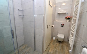 Shower, free toiletries, hair dryer, towels