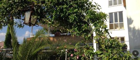 A residential building with a white exterior, a balcony with potted plants, and a tree with dense foliage.