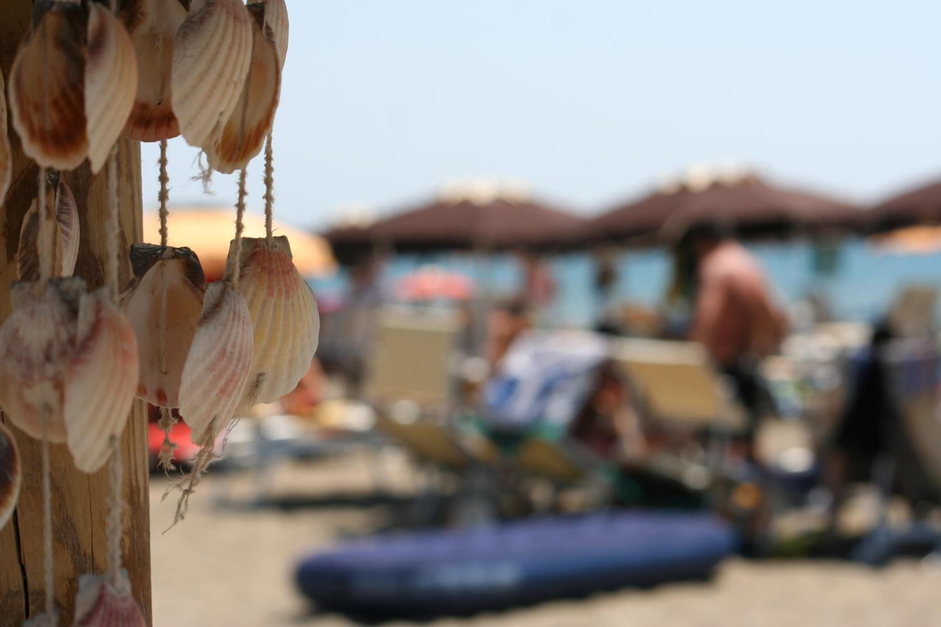 Une scène de plage mettant l’accent sur une structure en bois où sont exposées des coquillages.