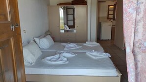 Habitació amb dos llits, un armari, un mirall, una cuineta petita i una porta al bany.