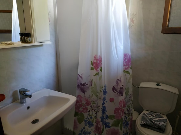 A bathroom with a white sink, a toilet, and a shower curtain with floral patterns.