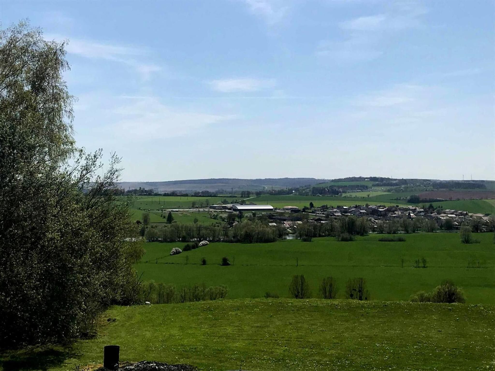 A rural landscape with a small village, green fields, and a large tree on the left.