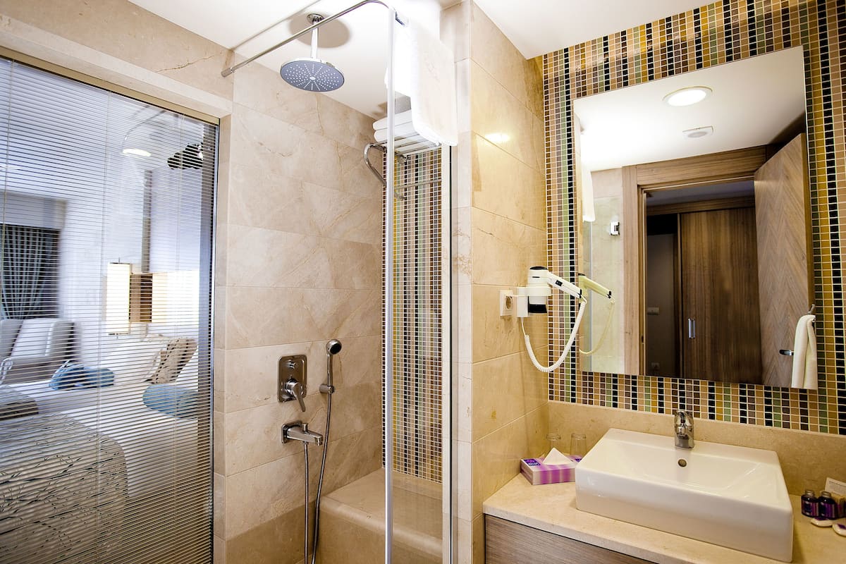 shower, free toiletries, hair dryer, towels