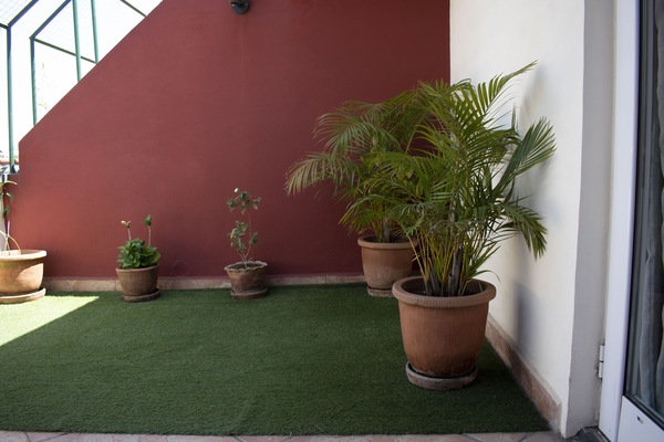 Habitación ejecutiva doble | Terraza o patio