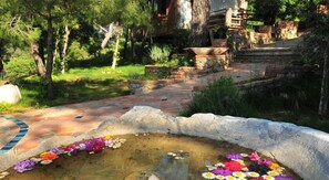 Utsikt fra overnattingsstedet