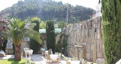 Residenca Desaret