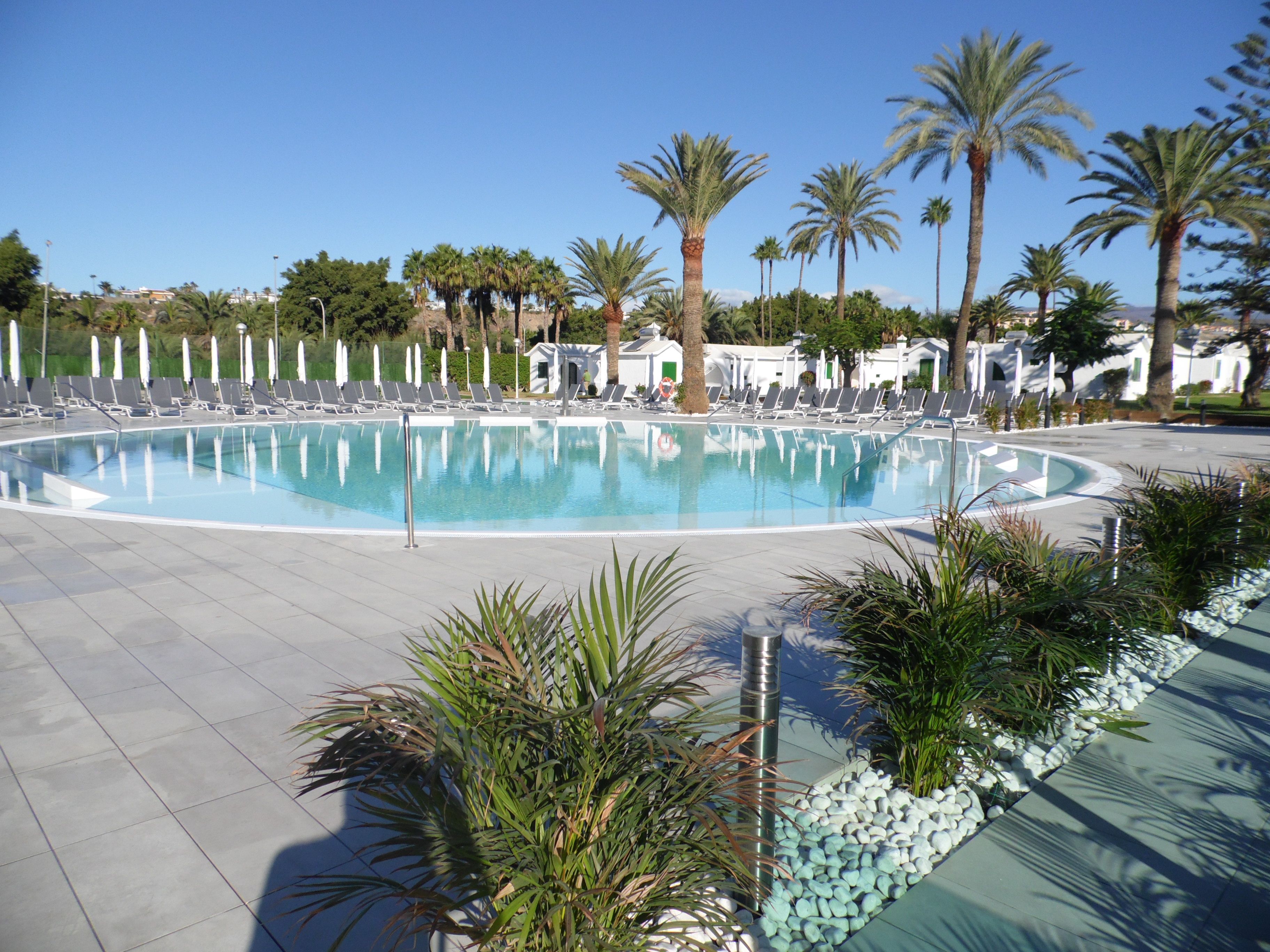 A large pool surrounded by lounge chairs and palm trees, with a clear sky above.