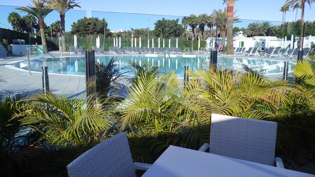 A pool area with lounge chairs and umbrellas, surrounded by palm trees. - Canary Garden Club (San Bartolomé de Tirajana)