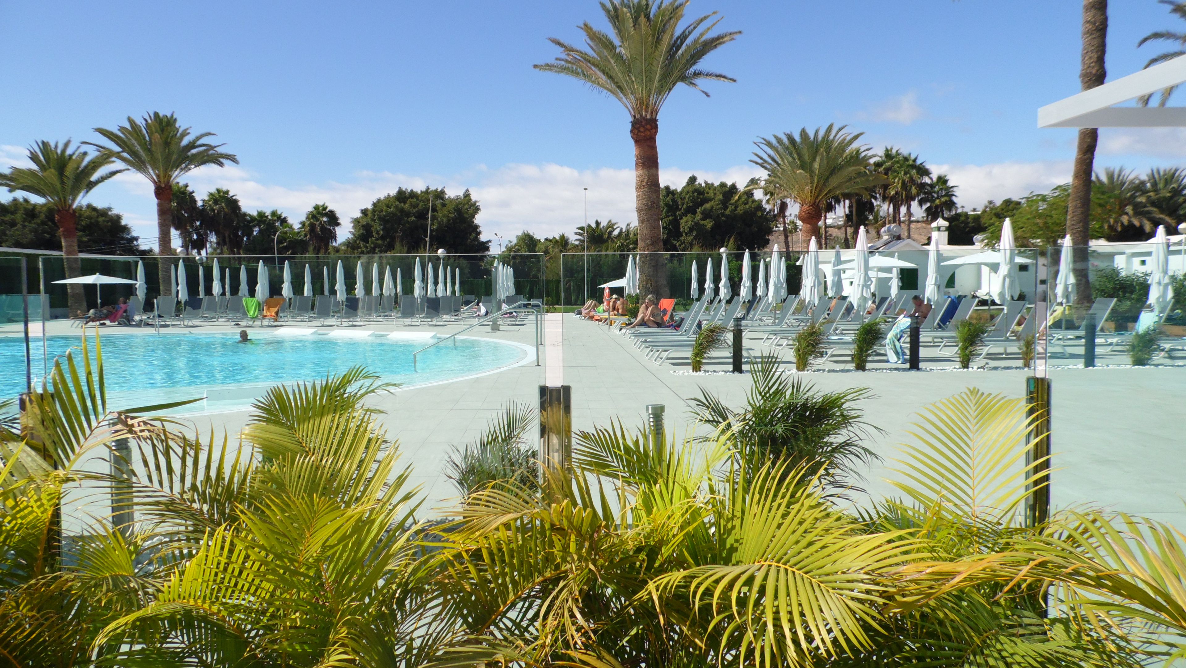 A swimming pool area with lounge chairs and umbrellas, surrounded by palm trees.