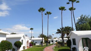 A pathway leading to a row of white buildings with palm trees in the background. - Canary Garden Club (San Bartolomé de Tirajana)