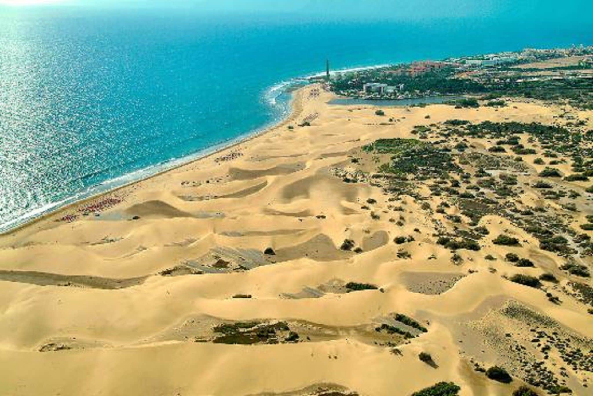 Un paisaje costero con dunas de arena y una playa.