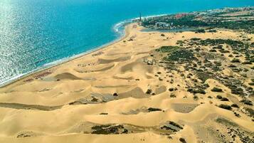 Un paisaje costero con dunas de arena y una playa.
