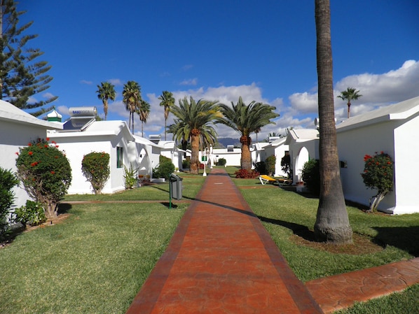 A pathway leading to a row of white buildings with palm trees and red flowers. - Canary Garden Club (San Bartolomé de Tirajana)