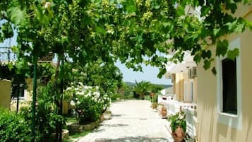 A narrow, sunlit street lined with buildings and lush greenery.