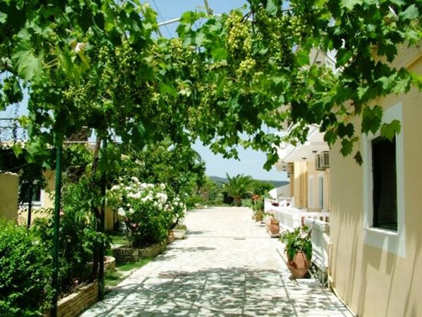 A narrow, sunlit street lined with buildings and lush greenery.