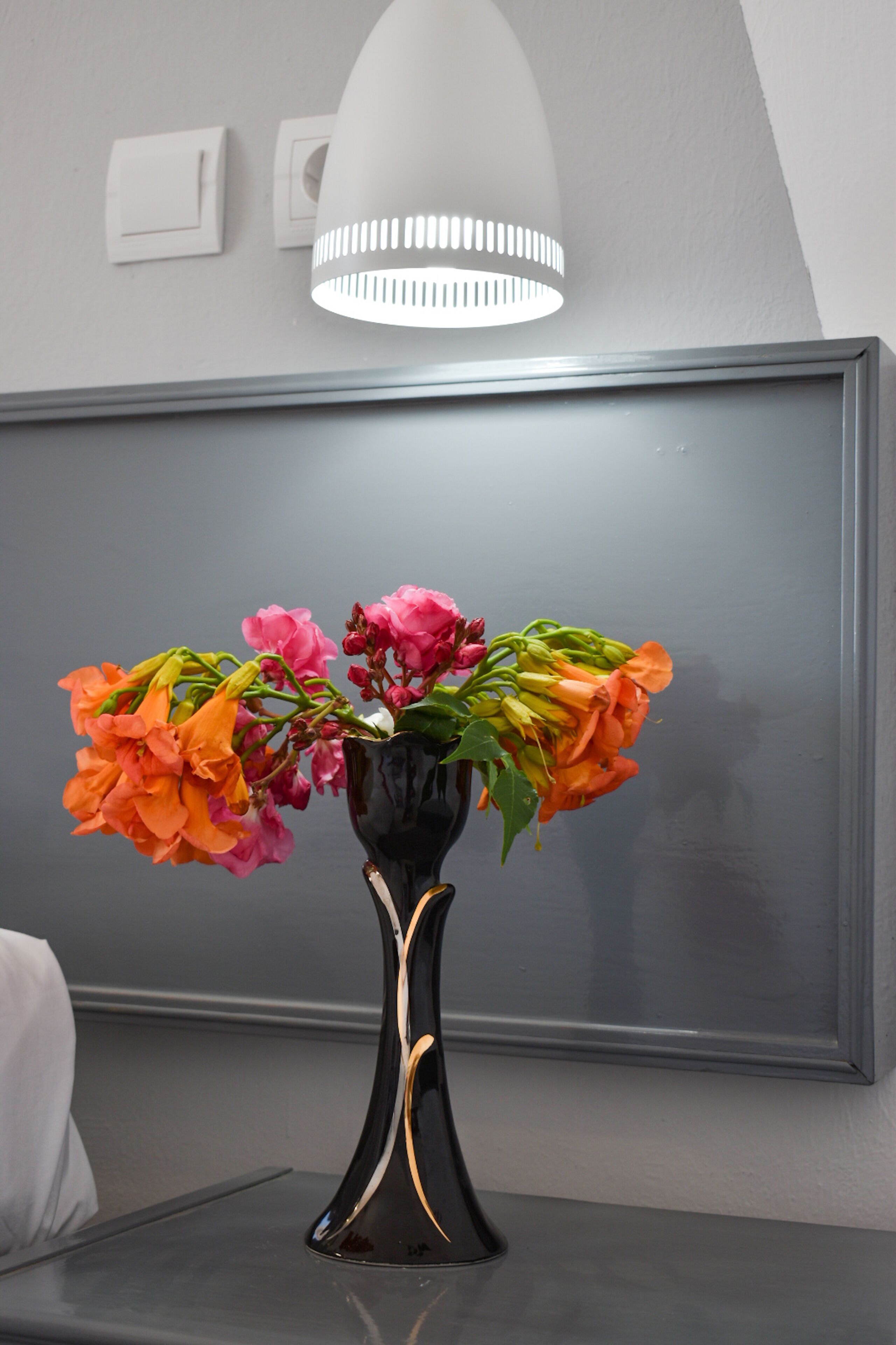 Photo - Oleander Studios