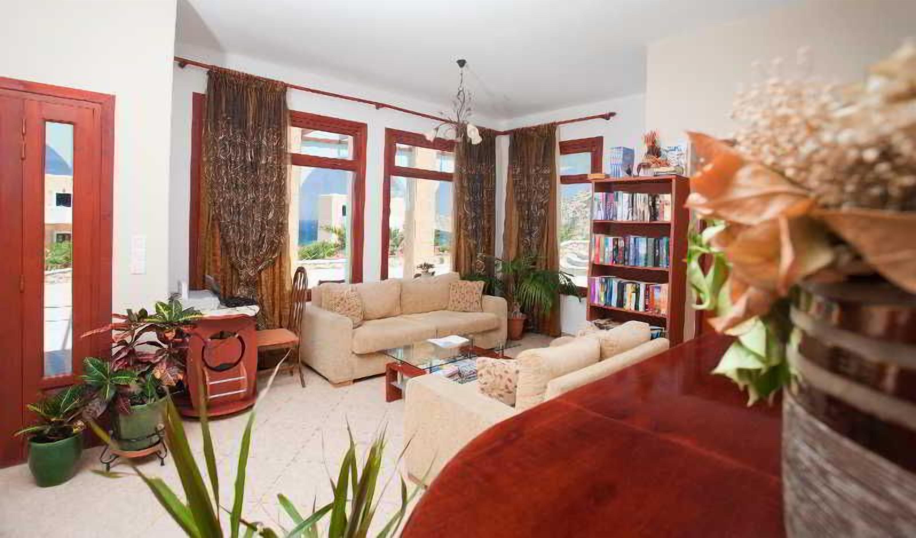 A living room with a sofa, a coffee table, a bookshelf, and potted plants.