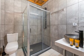 A modern bathroom with a glass-enclosed shower, a white toilet, and a sink with a stone basin. - ViP Chalet 4 seasons (Delphi)