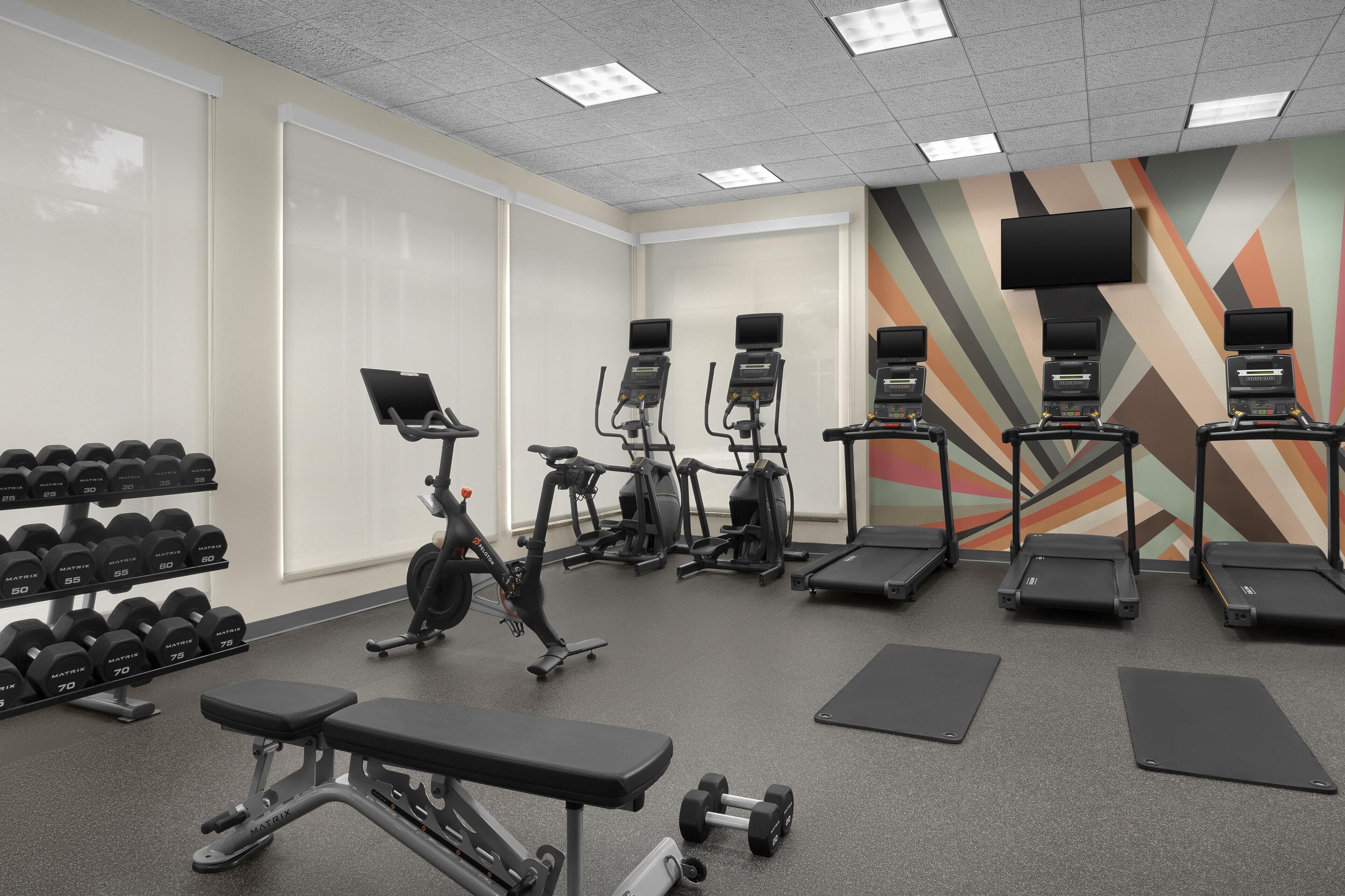 A gym with treadmills, elliptical machines, dumbbells, and benches.