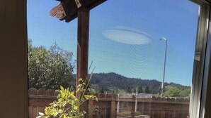 Vista a través de un ventanal de un patio trasero con cerco de madera, un árbol pequeño, un cantero con plantas verdes y una terraza de madera.