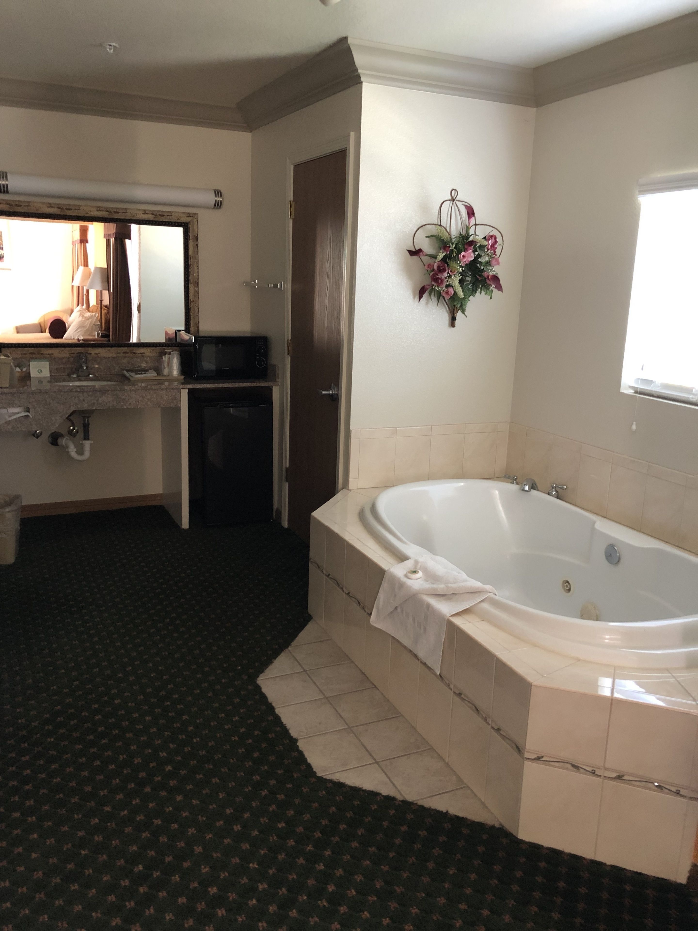 Combined shower/bathtub, free toiletries, hair dryer, towels