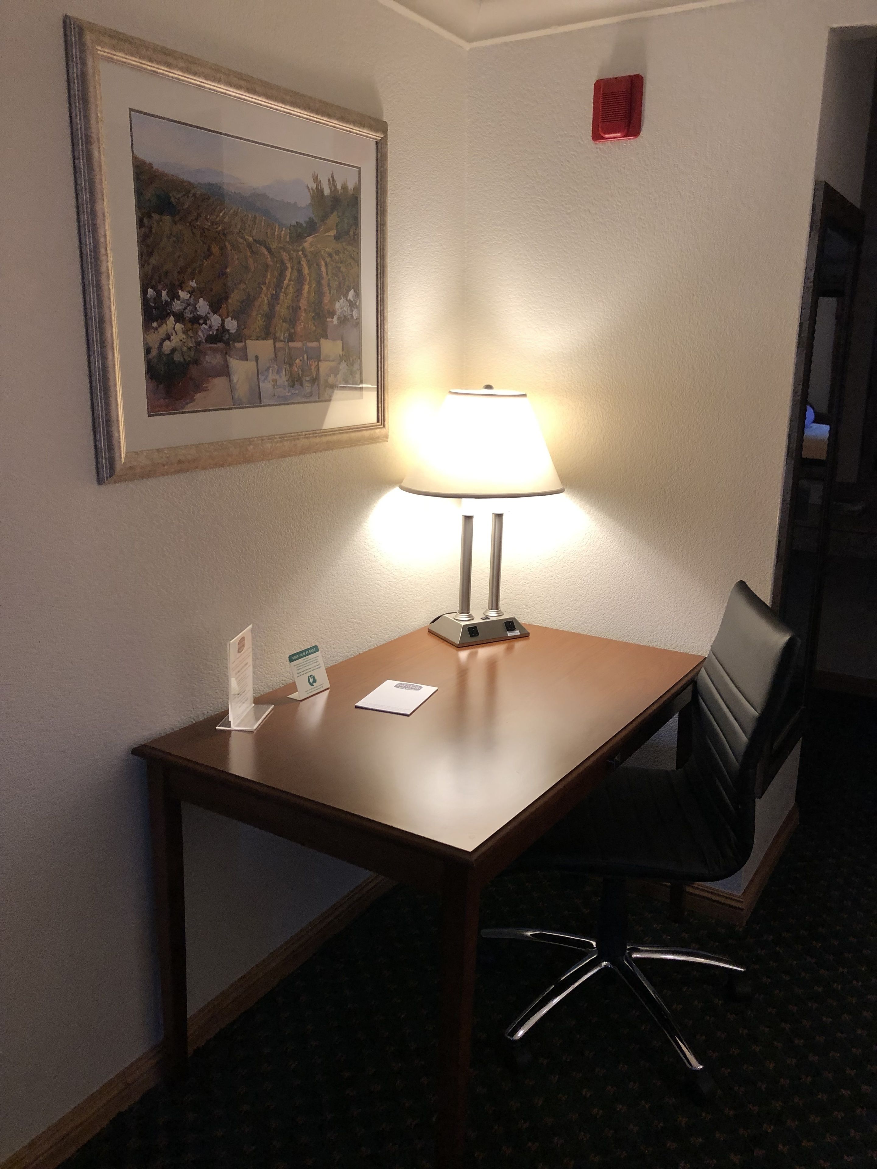 A hotel room with a wooden desk, a modern lamp, a framed picture on the wall, and a chair.