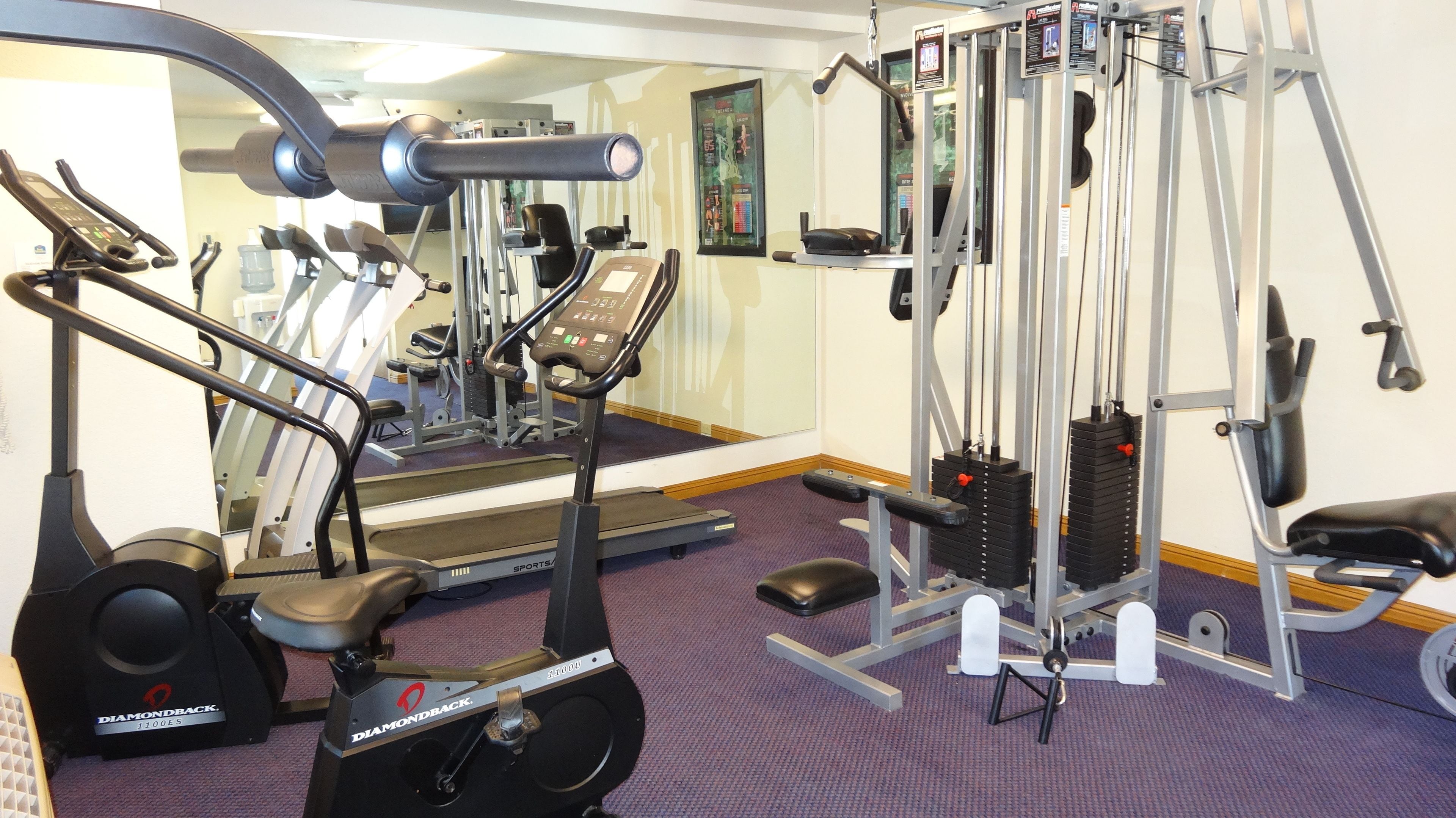 Un gimnasio con equipo de cardio, máquinas de pesas y un espejo.