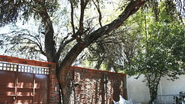 Exterior - El Rincón del Mezquite (Tequisquiapan)