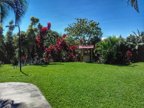 Vista desde la propiedad