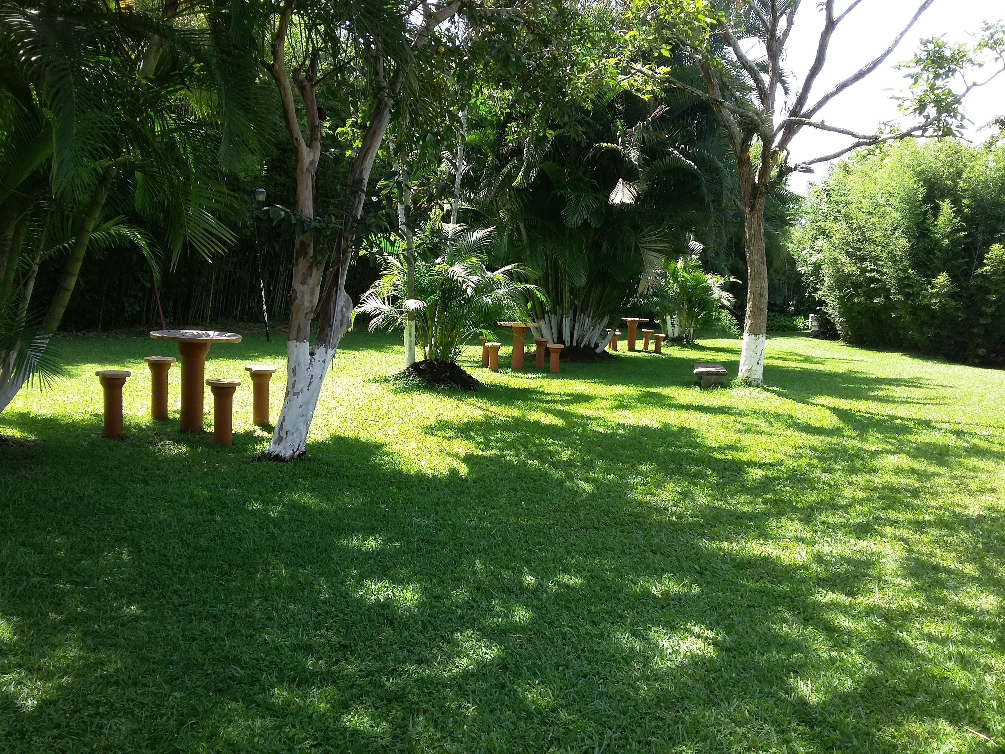 A lush garden with a variety of trees and a small patio area with terracotta planters and a table.