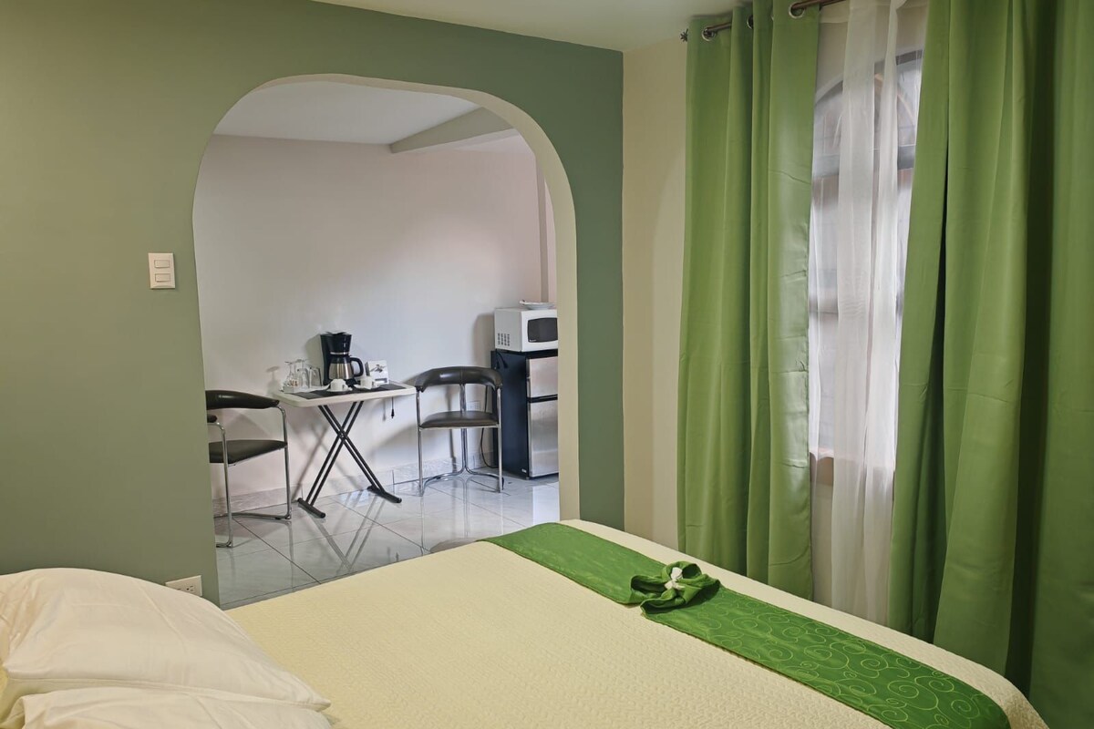 Habitación junior, 1 habitación, baño privado | Tabla de planchar con plancha, camas supletorias, wifi gratis