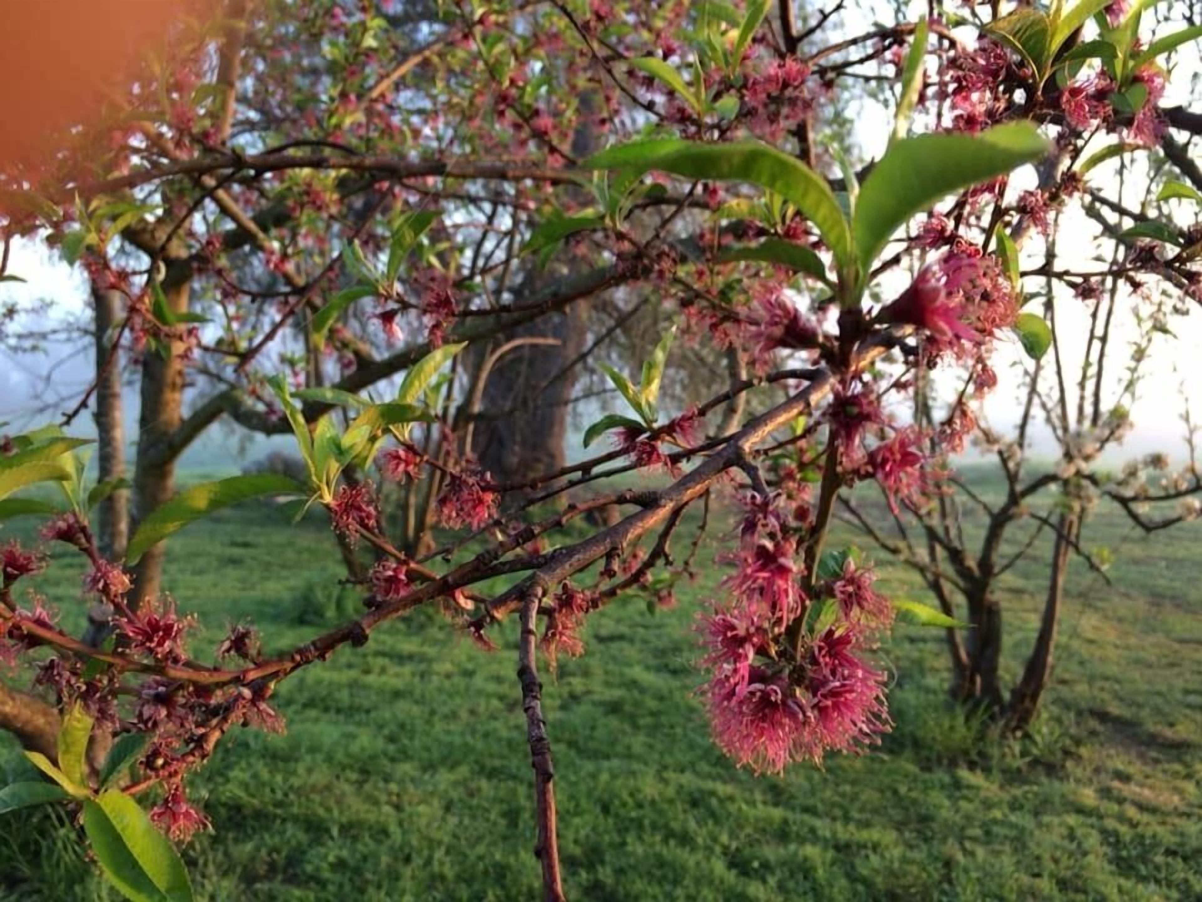 정원 전망
