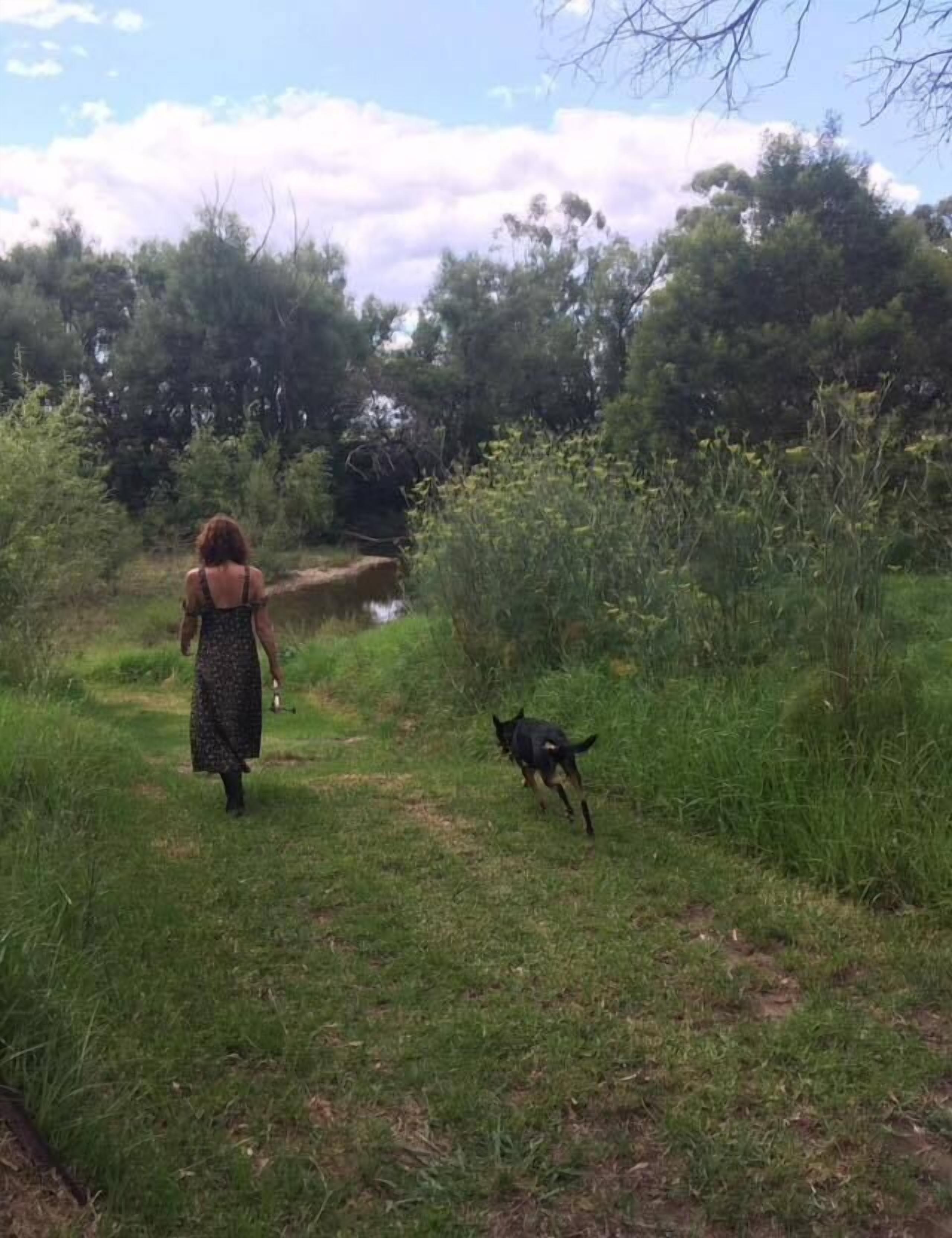Una persona pasea un perro por un sendero cubierto de hierba, rodeado de follaje.