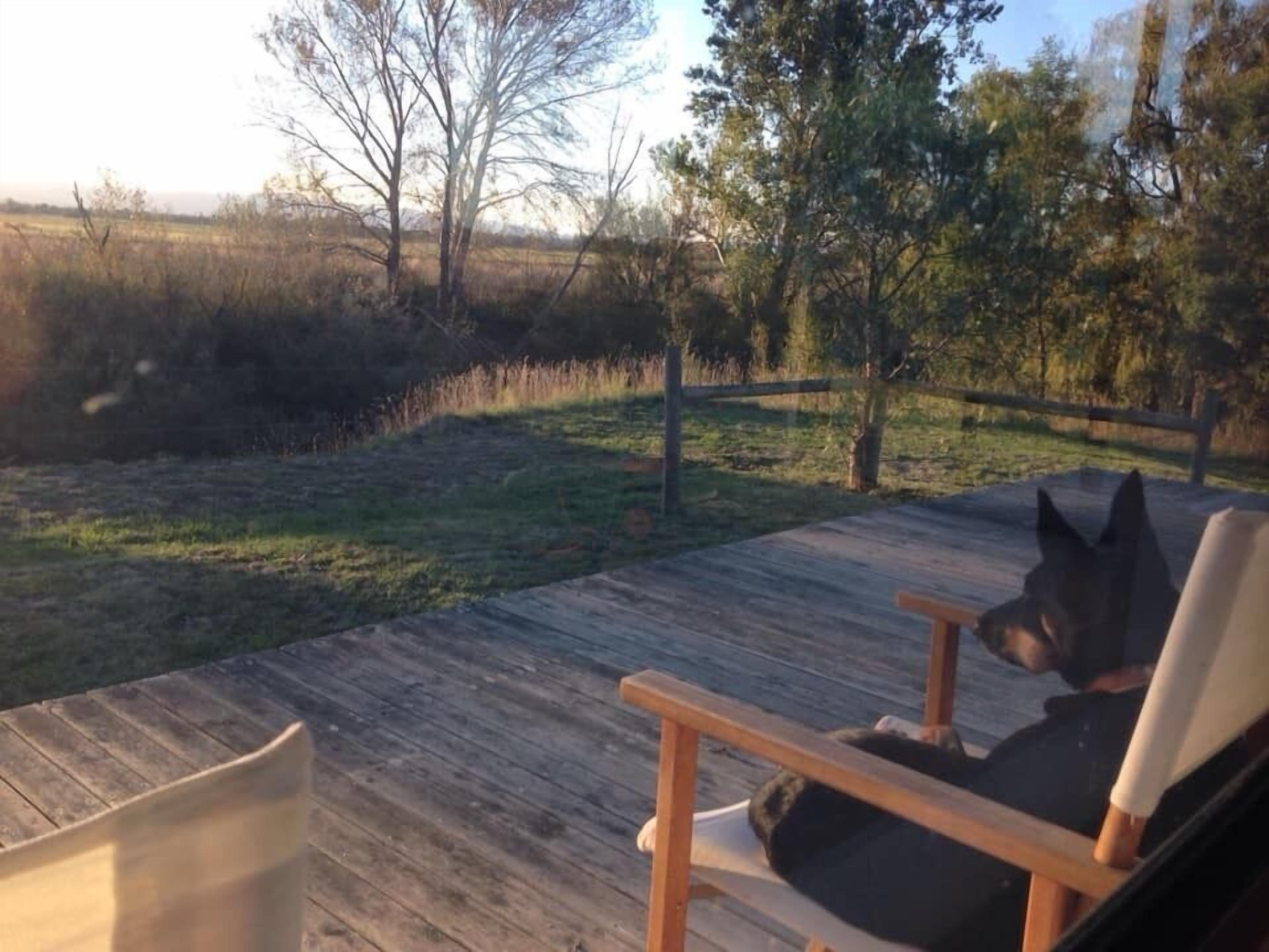 Een houten terras met een stoel en een hond die ligt.