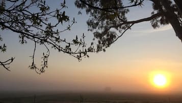A sunset over a flat landscape with sparse vegetation and a few trees in the foreground.