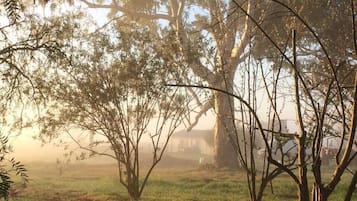 Escena tranquila al aire libre con árboles y un edificio al fondo.