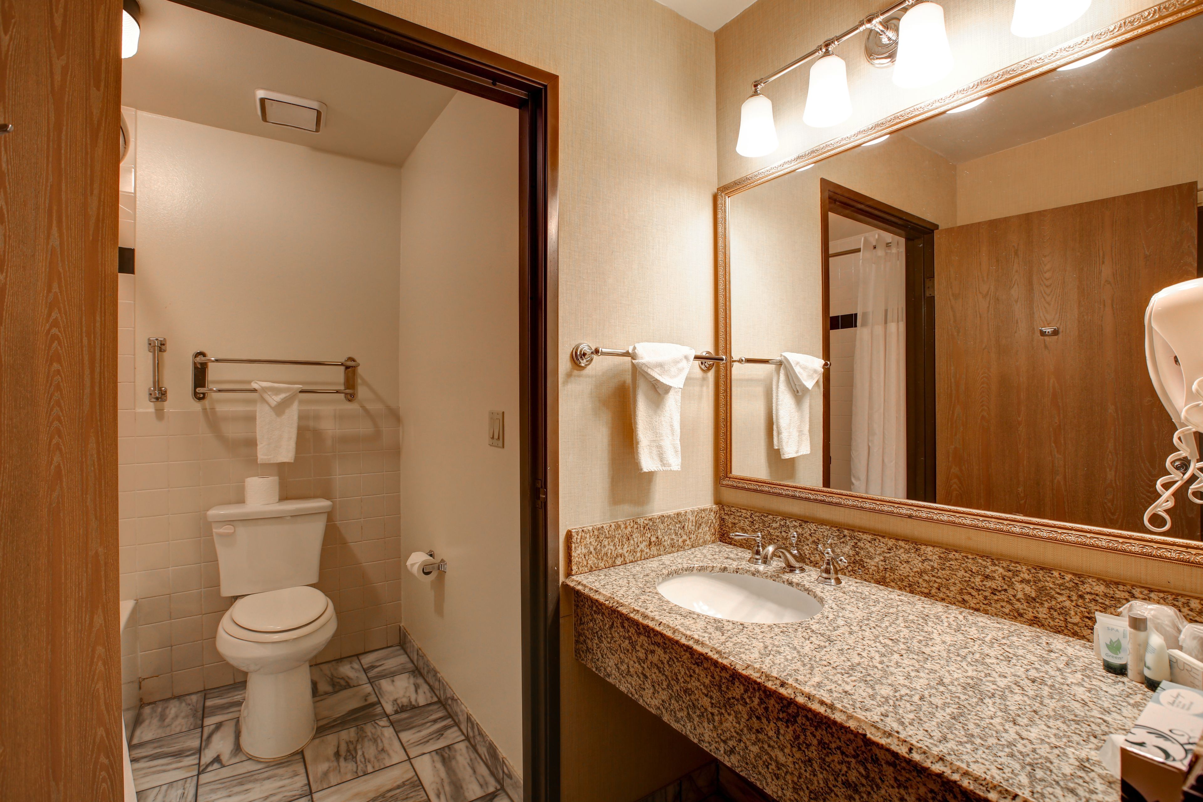 combined shower/bathtub, free toiletries, hair dryer, towels