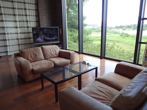 LCD TV, pay films
