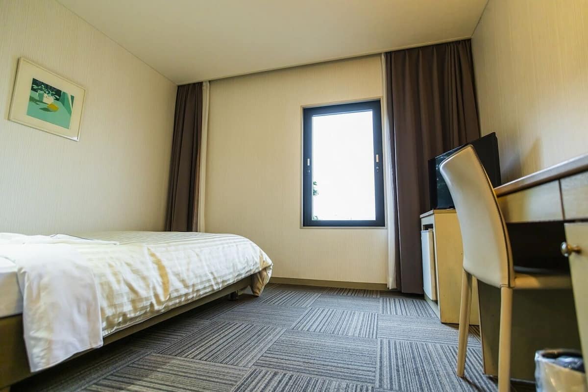 Desk, iron/ironing board (on request), free WiFi, bed sheets