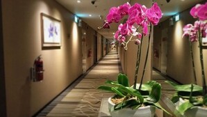 Un pasillo de hotel con piso de madera, plantas en macetas y cuadros en las paredes.