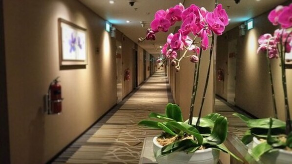 A hotel hallway with a wooden floor, potted plants, and framed pictures on the walls. -  Changi Transit Hotel Terminal 3 (Singapore)