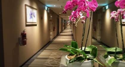 Changi Transit Hotel Terminal 3