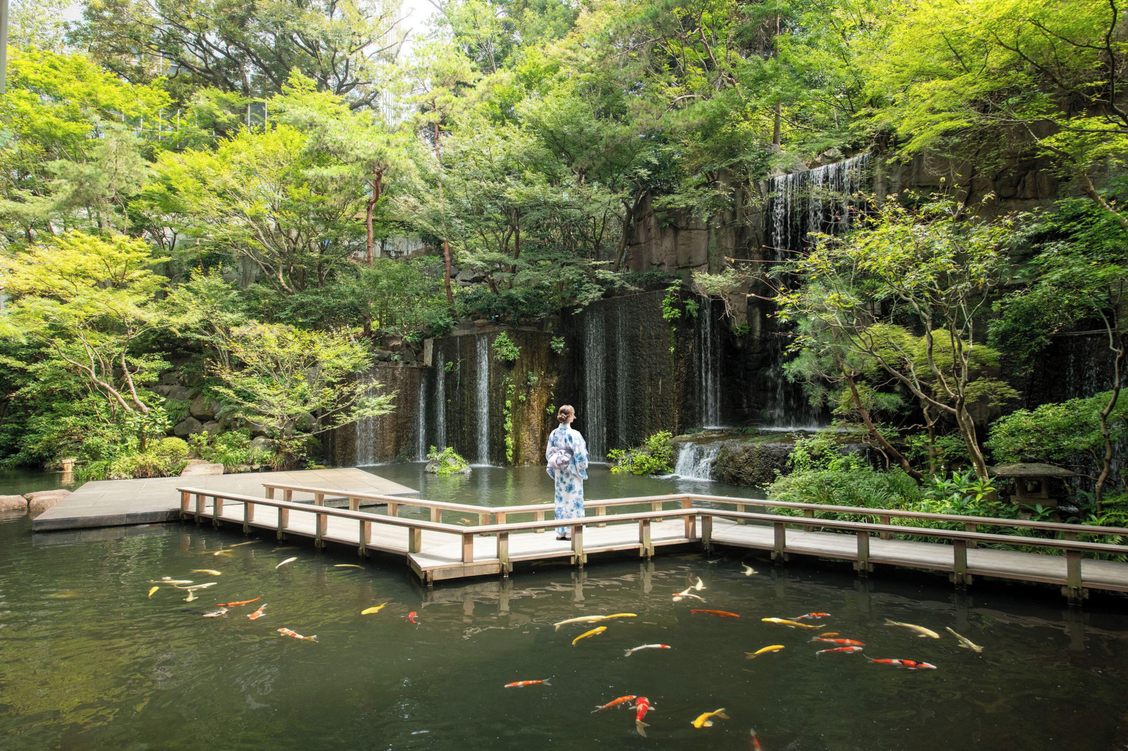 A serene garden with a koi pond, a wooden bridge, and a waterfall.