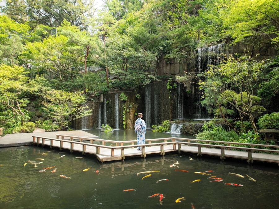 A serene garden with a koi pond, a wooden bridge, and a waterfall.