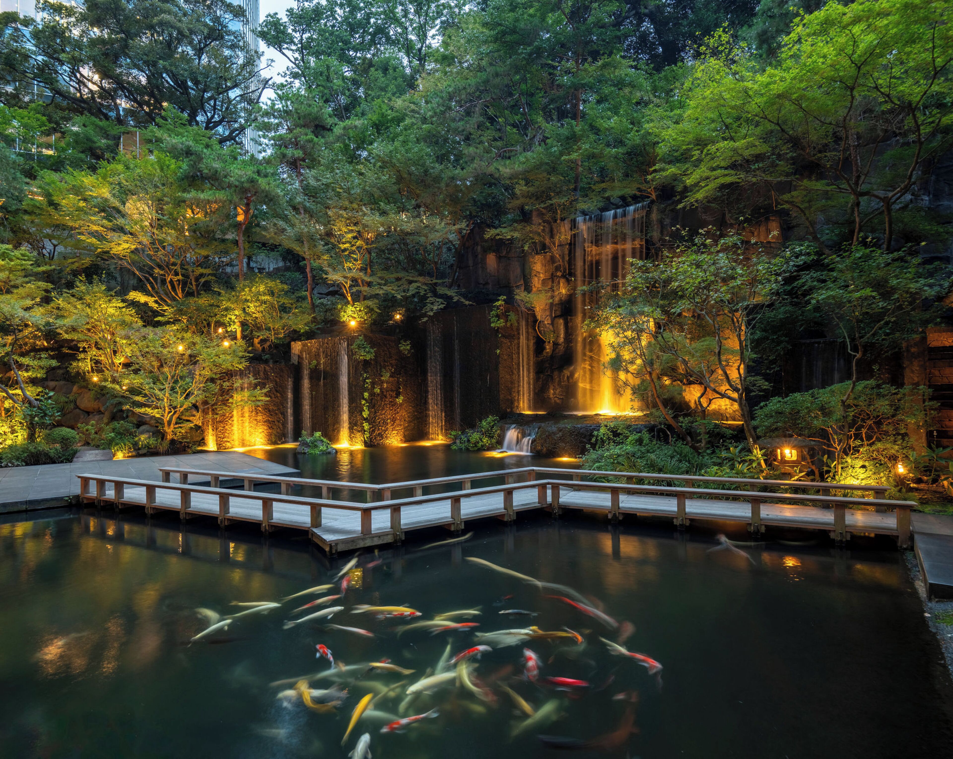 A serene pond with koi fish, surrounded by lush greenery and a wooden deck.