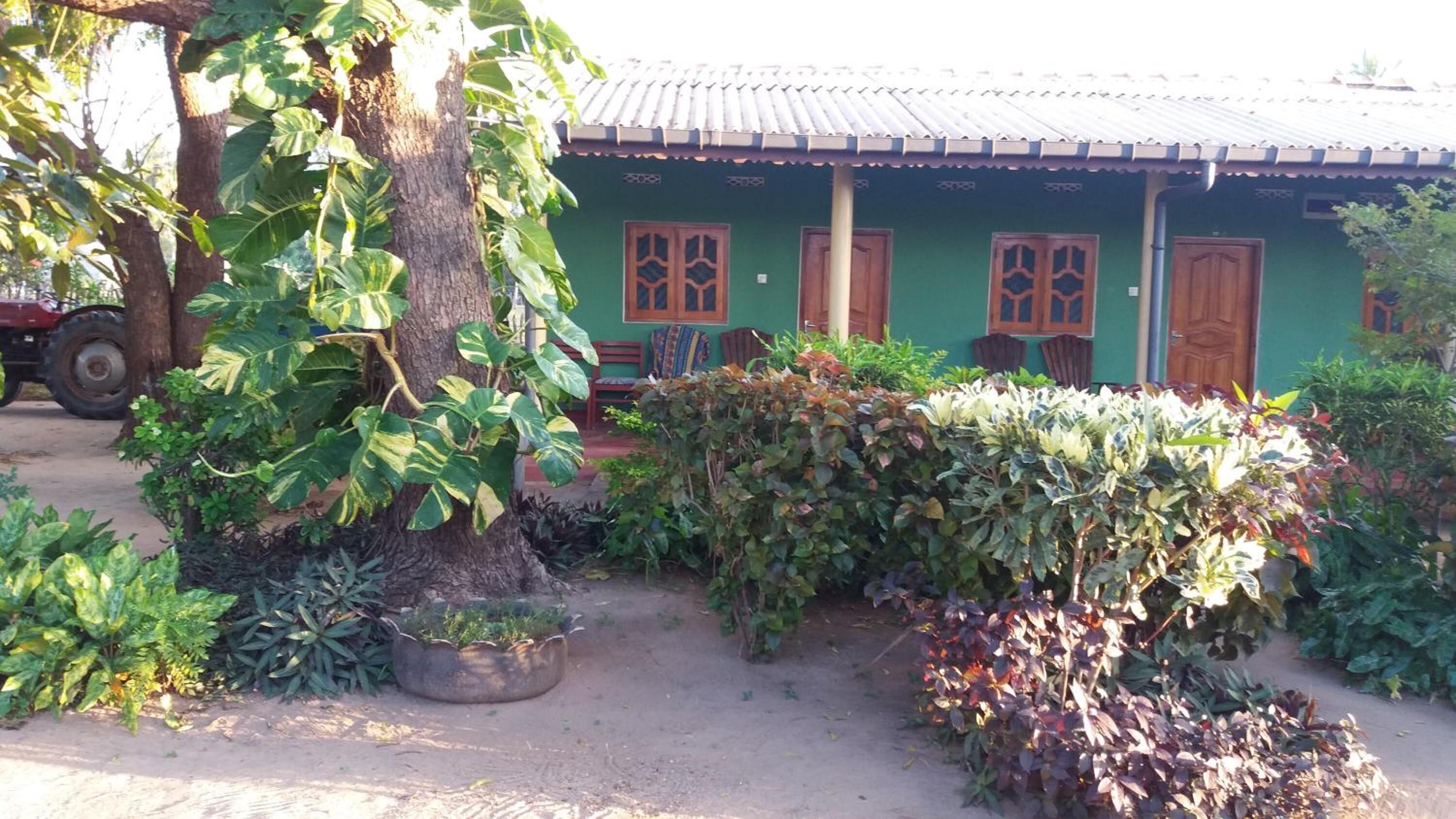 A green house with a porch, a tree, and various plants.